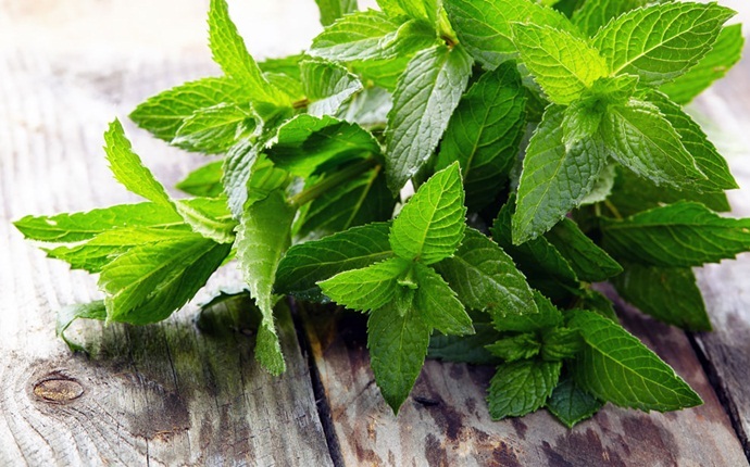 home remedies for abscess tooth - peppermint