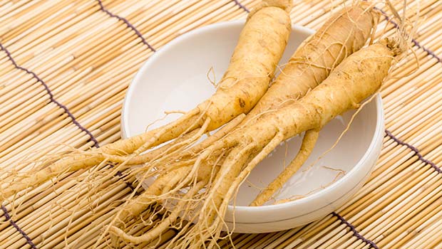 home remedies to increase sperm coun-panax ginseng