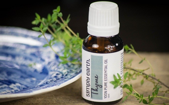 essential oils for oily skin - thyme essential oil