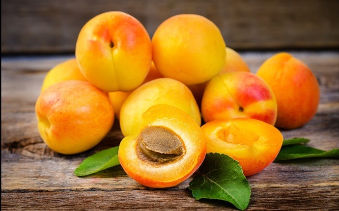 home remedies to reduce body heat - apricot