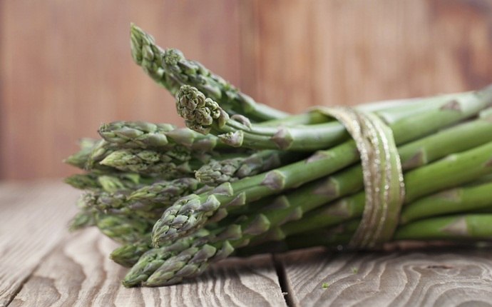 how to get rid of plaque in arteries - asparagus