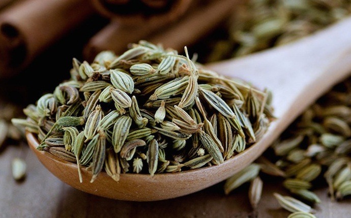 home remedies to reduce body heat - fennel seed