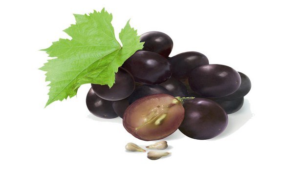 home remedies for Lupus-grape seed extract