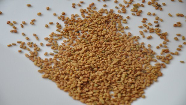 home remedies for angina-fenugreek seeds