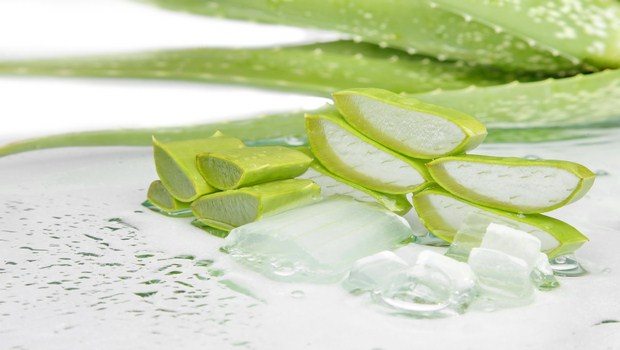 home remedies for carpal tunnel-aloe vera