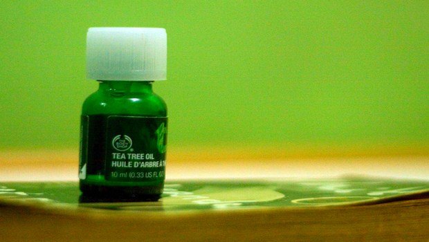 home remedies for hair bumps-tea tree oil