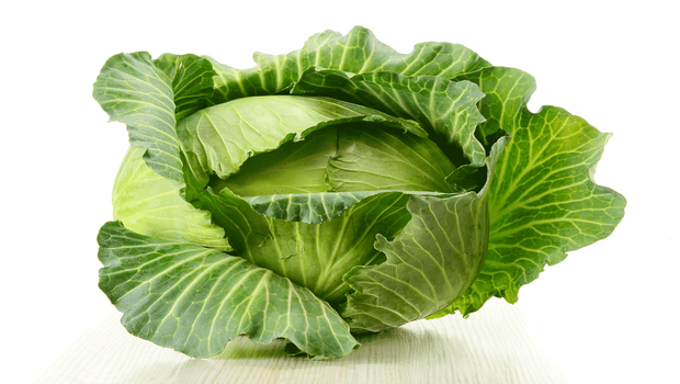 home remedies for obesity-cabbage