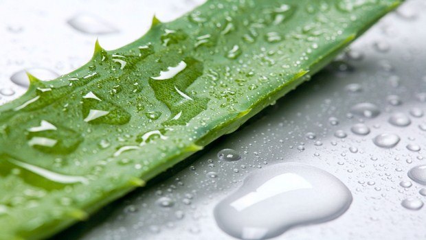 home remedies for red face-aloe vera