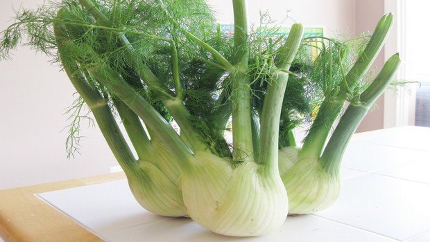 home remedies for stomach gas-fennel