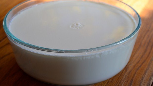 home remedies for ulcerative colitis-plain cultured yogurt
