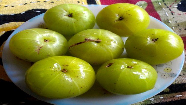 home remedies to increase appetite-indian gooseberry