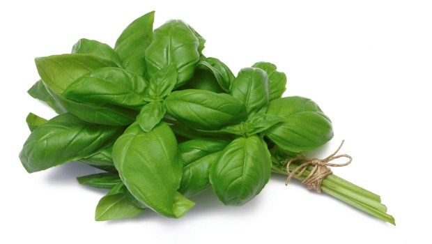 how to cure a fever-basil