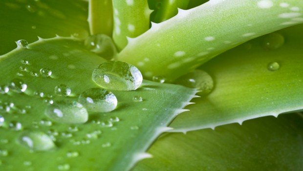 how to get rid of cramps-aloe vera