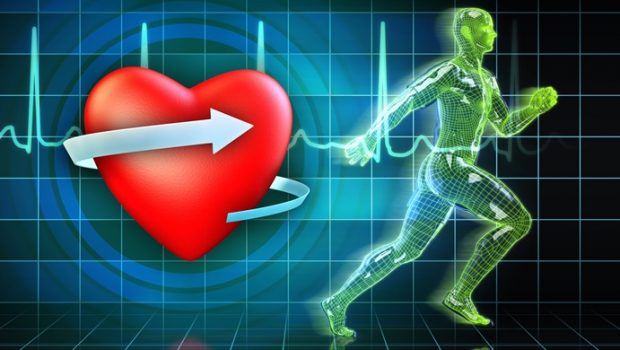 how to reduce triglyceride levels