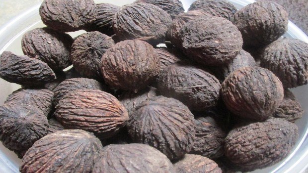 how to treat parasites-black walnut
