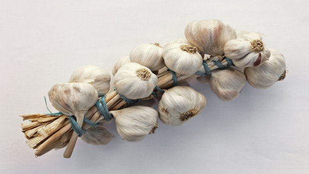 how to treat parasites-garlic