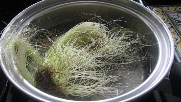 home remedies for enlarged prostate-corn silk