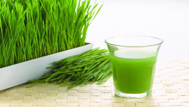 home remedies for high uric acid-wheatgrass juice