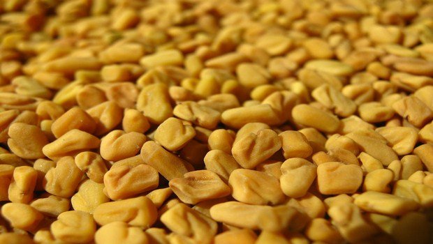home remedies for mastitis-fenugreek seeds