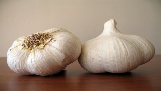 home remedies for mastitis-garlic