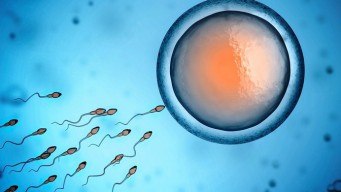 home remedies to increase sperm count