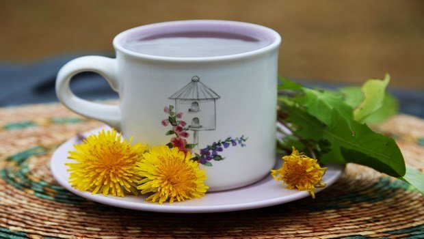 home remedies to lose belly fat-dandelion tea