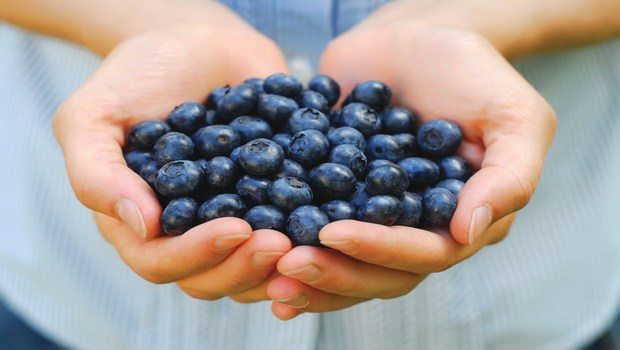 how to prevent osteoarthritis-eat blueberries