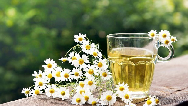 how to relieve itchy eyes-wash eyes with chamomile