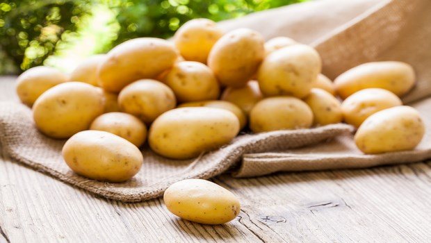 how to treat blepharitis-potato