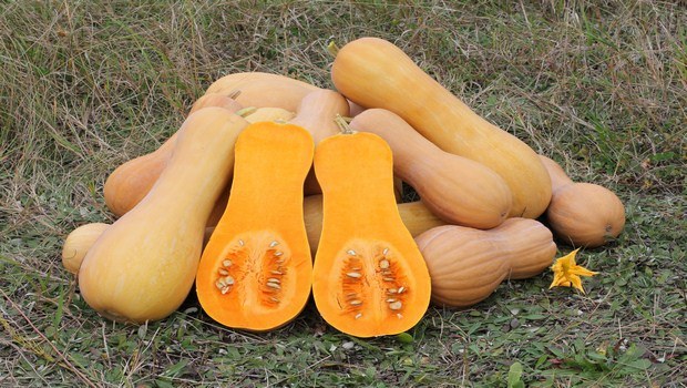 how to treat osteoporosis-pumpkin or squash