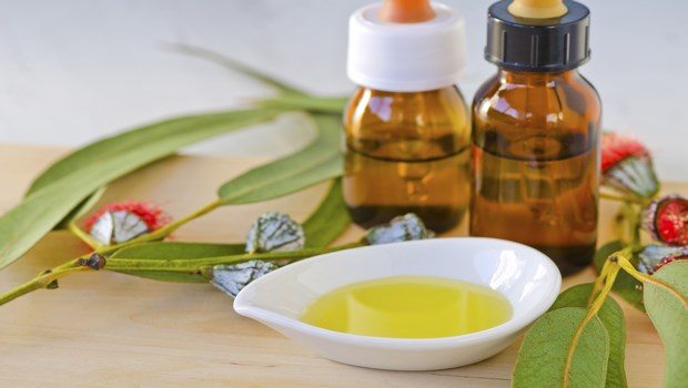 how to treat scarlet fever-eucalyptus oil