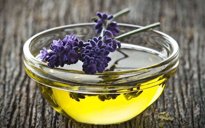 how to treat a chalazion - lavender oil