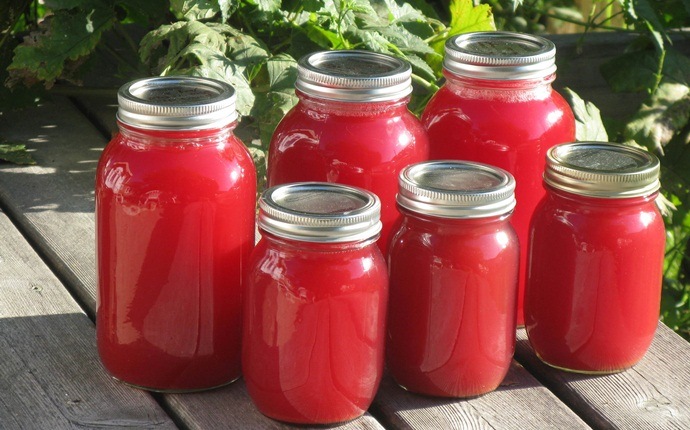 home remedies for bee stings - rhubarb juice