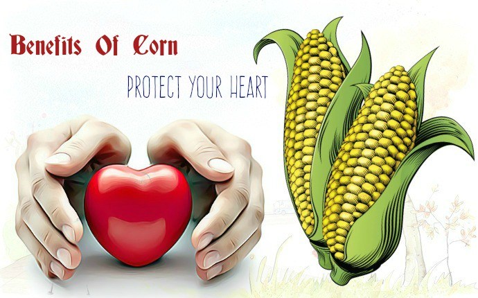 benefits of corn - protect your heart