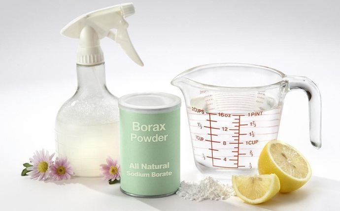 home remedies for bone spurs - borax