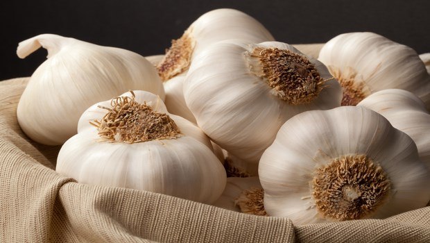 cancer fighting foods-garlic