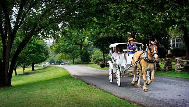 carriage riding