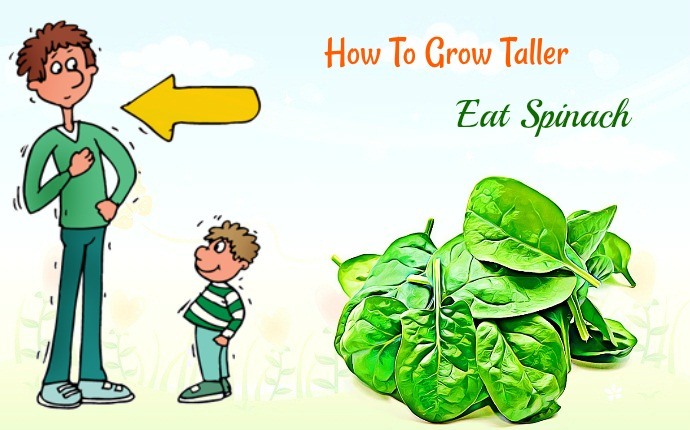 how to grow taller - eat spinach