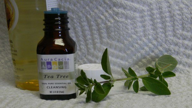 essential oils for dry skin-tea tree essential oil