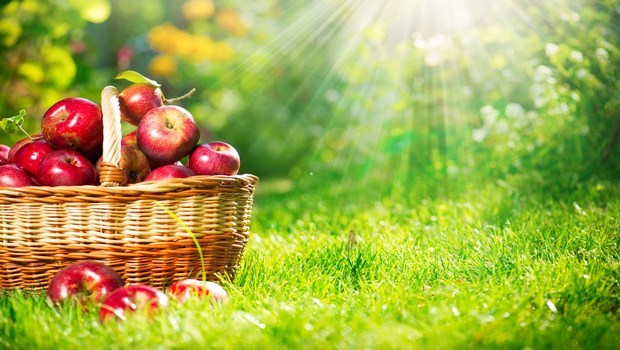 high fiber foods for toddlers-apples