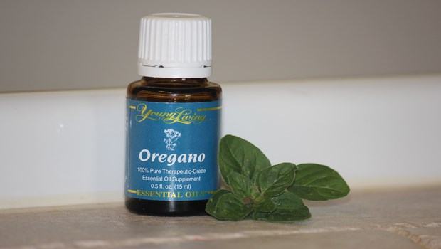 home remedies for bacterial vaginosis-oregano oil