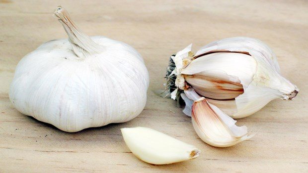 home remedies for bug bites-garlic