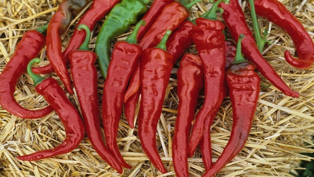home remedies for bursitis-cayenne pepper