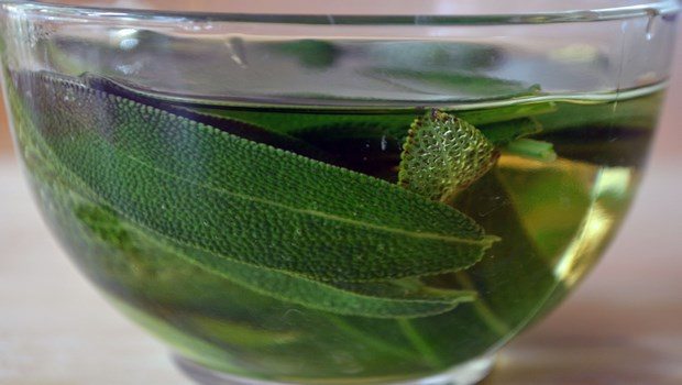 home remedies for chlamydia-sage tea