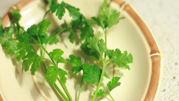 home remedies for varicose veins-parsley