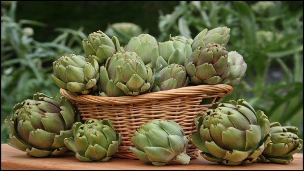 how to avoid cancer-artichokes and green tea