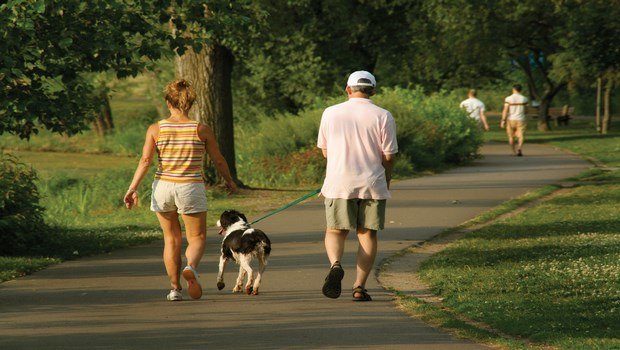 how to get smarter-go for a walk