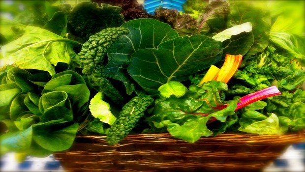 how to keep fruits and vegetables fresh-green leafy vegetables