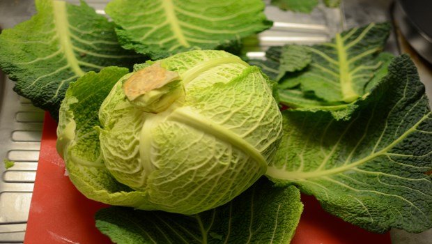 how to remove sun tan - cabbage leaves