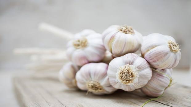 how to stop a toothache-garlic